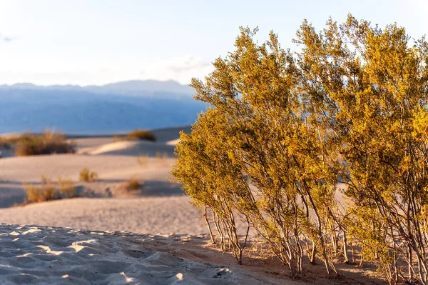 Sonnenuntergang Der Nähe Der Flachen Sanddünen Death Valley Nationalpark Kalifornien — Stockfoto