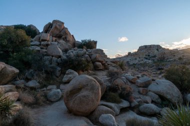 Gün batımında Joshua Tree Ulusal Parkı 'nın manzara görüntüsü.