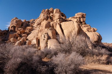 Gün batımında Joshua Tree Ulusal Parkı 'nın manzara görüntüsü.