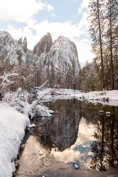 Snow-covered trees line the merced river in Yosemite valley on a late winter afternoon.
