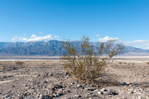 Death Valley landscape on a sunny winter afternoon, near Beatty junction.