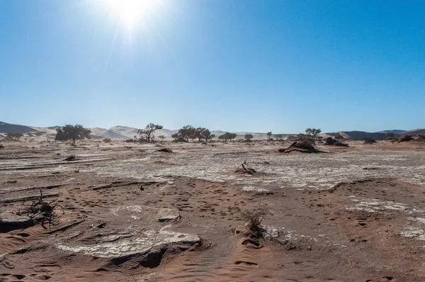 Impression Barren Sand Dune Landscape Deadvlei Region Namibia — Stock Photo, Image