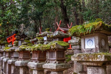 Nara, Japonya - 5 Ocak 2020. Nara Park 'ın dış görüntüsü. Nara, Japonya 'da birçok tapınağı ve tapınağı ile ünlü tarihi bir şehirdir. Birçok insan yeni yılın ilk günlerinde ziyaret eder..