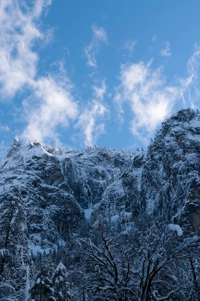 A small group of snow covered trees lines the mountain tops along yosemite valley.