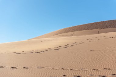 Impression of the barren sand dune landscape near the deadvlei region of Namibia.