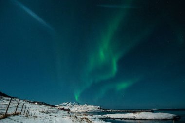 Kuzey Işığının Parlak Yeşil Renkleri, Aurora Borealis Arktik Norveç 'teki Mjelle plajının üzerindeki Gece Gökyüzünü aydınlatıyor..