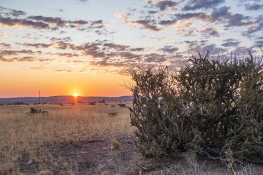 Günbatımının etkisi, Susriem, Nambia 'daki bir kamp alanından Sossusvlei' ye geçit..