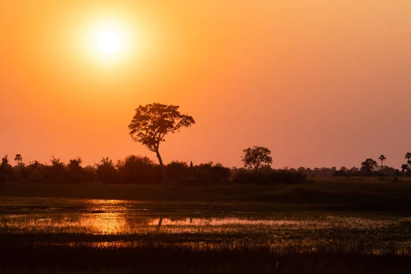 奥卡万戈三角洲美丽落日的广角镜头 — 图库照片