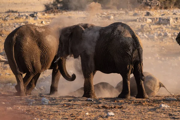 Telephoto Shot Herd African Elephant Loxodonta Africana Taking Bath Waterhole — Stockfoto