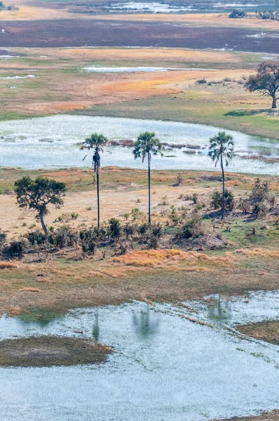 Воздушное Впечатление Дельты Окаванго Ботсвана Видно Вертолета — стоковое фото