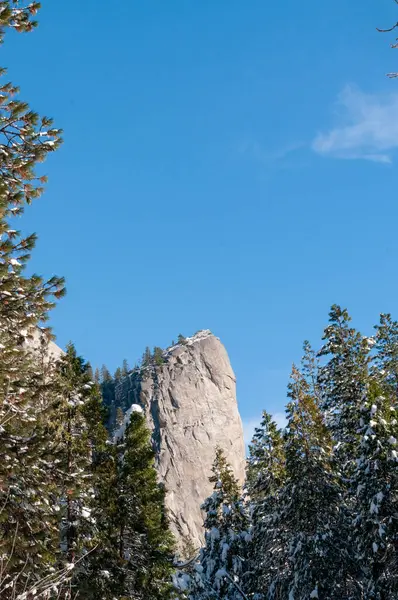 Exterior Snow Covered Trees Brisk Sunny Winter Morning Yosemite National — Foto de Stock