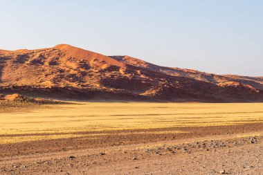 Batı Namibya 'nın Sossusvlei' sini oluşturan devasa kum tepelerinin etkisi.