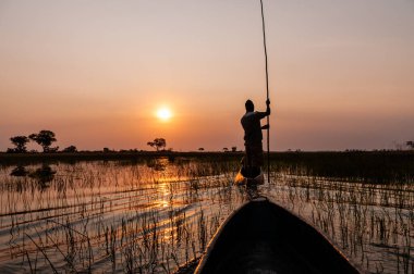 Okavango Delta, Botswana - 3 Ağustos 2022. Bir mokoro tarafından gözlemlendiği gibi Okavango deltasındaki gün batımına birinci şahıs bakış açısı.