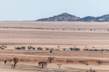 Outlook over the Kuiseb pass viewpoint in Namibia, an area that strongly resembles a lunar landscape.