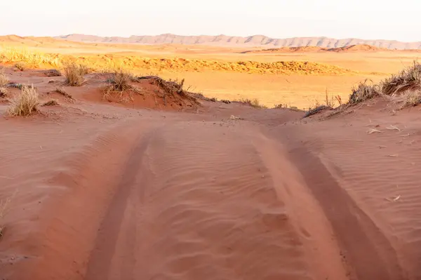 Very Early Morning Namibian Desert Cha Sunrise — Stock Photo, Image
