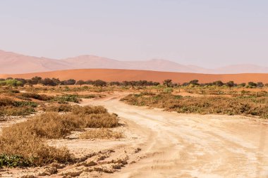 Batı Namibya 'nın Sossusvlei' sini oluşturan devasa kum tepelerinin etkisi.
