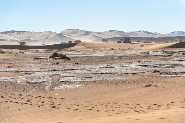 Впечатление Пейзажа Барреновских Песчаных Дюн Районе Дедвейта Набиа — стоковое фото
