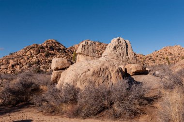 Gün batımında Joshua Tree Ulusal Parkı 'nın manzara görüntüsü.