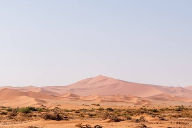 Impression of the massive sanddunes that comprise the Sossusvlei of western Namibia clipart