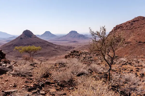 Namibian Desert Landscape Sunny Winter Afternoon — Stock Photo, Image