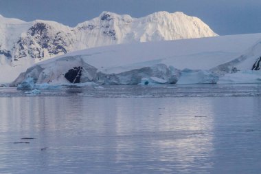 Buzdağları ve Buzdağları Antarktika yarımadasının kıyılarını ve birçok adasını oluşturur. Çok sakin bir deniz, Gerlache Boğazı 'ndaki sabahın ilk ışıklarını yansıtır..