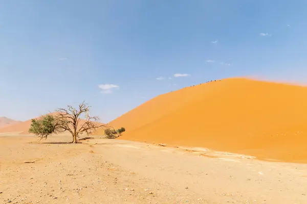 Duna Sossusvlei Namibiano Uma Tarde Tempestuosa Com Visibilidade Limitada — Fotografia de Stock