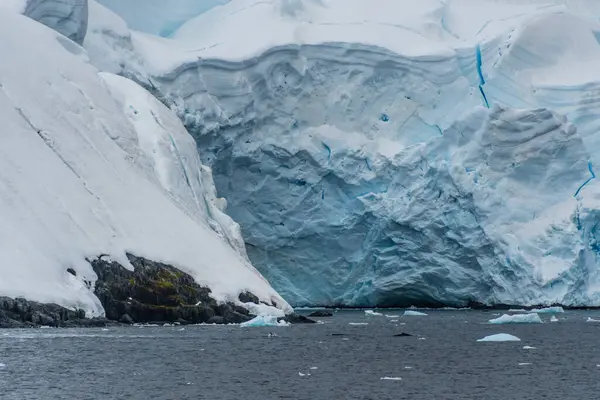 Detail of the massive icebergs and glaciers of the Antarctic Peninsula. Image taken near Graham passage. A humpback whale -Megaptera novaeangliae- is diving in the foreground.