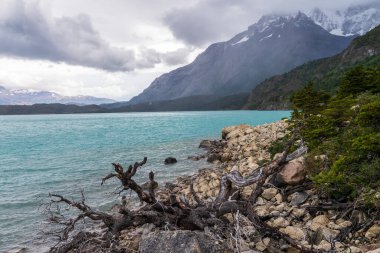 Torres del Paine Ulusal Parkı 'ndaki etkileyici bir dağ manzarası Nordenkjold Gölü boyunca, Patagonya, Şili.