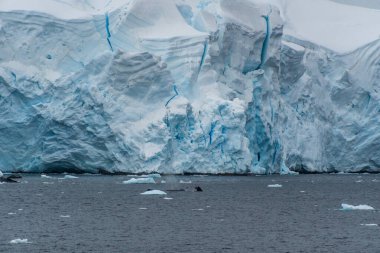 Detail of the massive icebergs and glaciers of the Antarctic Peninsula. Image taken near Graham passage. A humpback whale -Megaptera novaeangliae- is diving in the foreground.