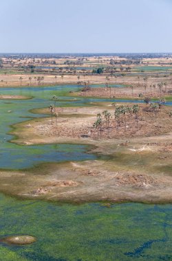 Botswana 'daki Okavango Deltası' nın hava görüntüsü. Helikopterden görüldüğü gibi..
