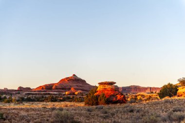 Needles Bölgesi Kamp Alanı'nda gün doğumu. Canyonlands Ulusal Parkı, Utah