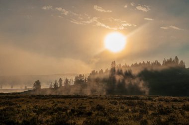 Yükselen güneş, Yellowstone Ulusal Parkı Hayden Vadisi 'nin sisli manzarasını aydınlatıyor..