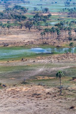 Botswana 'daki Okavango Deltası' nın hava görüntüsü. Helikopterden görüldüğü gibi..