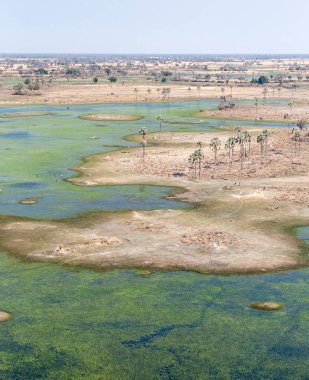 Botswana 'daki Okavango Deltası' nın hava görüntüsü. Helikopterden görüldüğü gibi..
