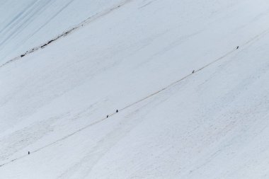 Gentoo Penguen-Pygoscelis Papuası 'nın telefonu. Antarktika Yarımadası' ndaki Lemaire Kanalı 'nın girişine yakın bir penguen otoyolu boyunca dik bir tepeye tırmanıyor.
