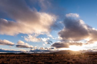 Joshua Tree Ulusal Parkı manzarası, bir kış öğleden sonra çekildi..