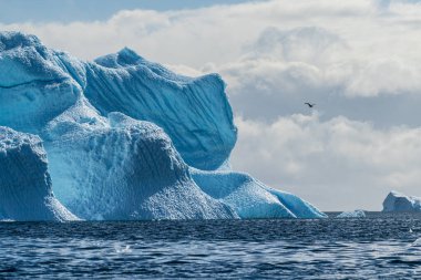 A tranquil Antarctic landscape, near Graham passage along Charlotte Bay, highlighting stark reflections, rugged mountains, and impressive icebergs. clipart