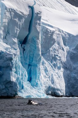 Buz tabakasının içindeki dev bir yarığın telefonu. Graham Geçidi, Charlotte Körfezi yakınında, Antarktika Yarımadası 'nda.