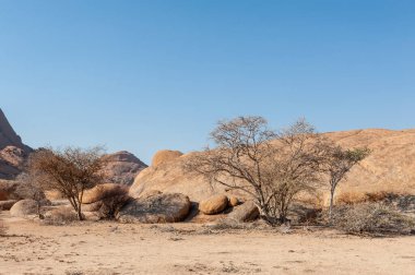 The namibian desert near Spitzkoppe, late afternoon. clipart