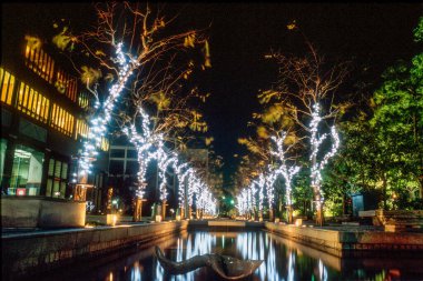 Osaka, Japonya - 31 Aralık 2007. Noel ışıkları Osaka sokaklarını aydınlatıyor, suya yansıyor..