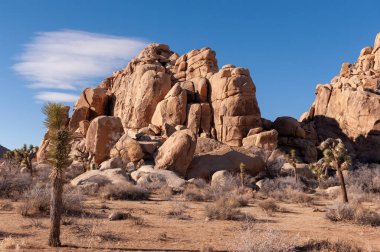Gün batımında Joshua Tree Ulusal Parkı 'nın manzara görüntüsü.