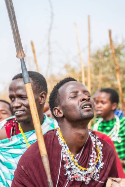 Mto wa Mbu, Tanzanya - 4 Ağustos 2024. Kuzey Tanzanya 'daki Masai halkının Mto wa Mbu kasabası yakınlarındaki hoş geldin dansının taklidi. Masajiler geleneksel yaşam tarzlarıyla tanınırlar.