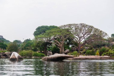 Victoria Gölü boyunca Tanzanya 'daki Manzaranın İzlenimi