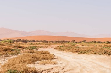 Batı Namibya 'nın Sossusvlei' sini oluşturan devasa kum tepelerinin etkisi.