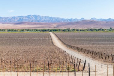 Güney Namibya 'daki çöl manzarasının etkisi..