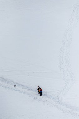Danco Adası, Antarktika Yarımadası - 31 Ocak 2024. Atarctic Exploration gemisinin mürettebatı Okyanus Maceracısı Danco Adası 'ndaki Gentoo Penguen kolonisi yakınlarında olası bir iniş alanı keşfetti..