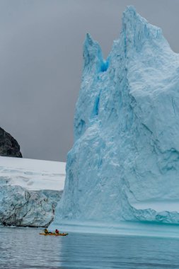 Cuverville Adası, Antarktika Yarımadası - 31 Ocak 2024. Antarktika turistleri Cuverville adası yakınlarındaki suları bir deniz kanosu kullanarak keşfediyorlar..
