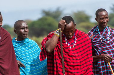 Mto wa Mbu, Tanzanya - 4 Ağustos 2024. Kuzey Tanzanya 'daki Masai halkının Mto wa Mbu kasabası yakınlarındaki hoş geldin dansının taklidi. Masajiler geleneksel yaşam tarzlarıyla tanınırlar.
