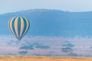 Kuzey Tanzanya 'da güneş doğarken serengeti üzerinde alçaktan uçan bir sıcak hava balonunun telefonu.