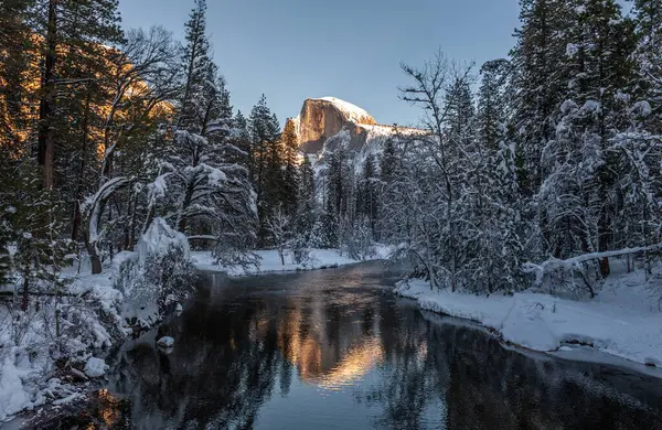 Yarım kubbenin zirvesi batan güneşin tam ışığında pişiyor. Merced nehrine yansıyor, parlak, karlı bir kış öğleden sonra, altın saat boyunca..